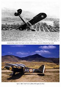 Piper L-21B_000042